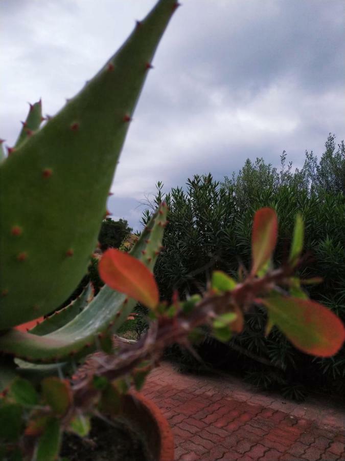 Casa Vacanza Rosariomaria Realmonte Bagian luar foto